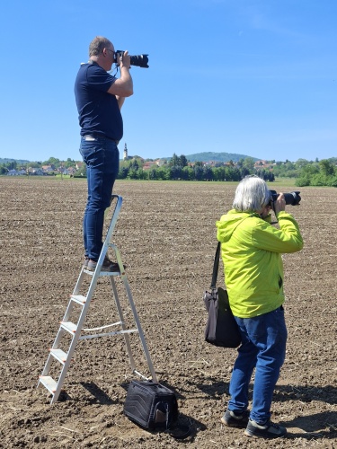 Warten auf die Parallelfahrt  